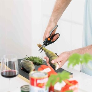 Fiskars Kalasakset
