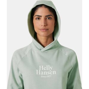 Helly Hansen Core Graphic Hoodie