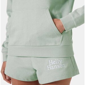 Helly Hansen Core Graphic Hoodie